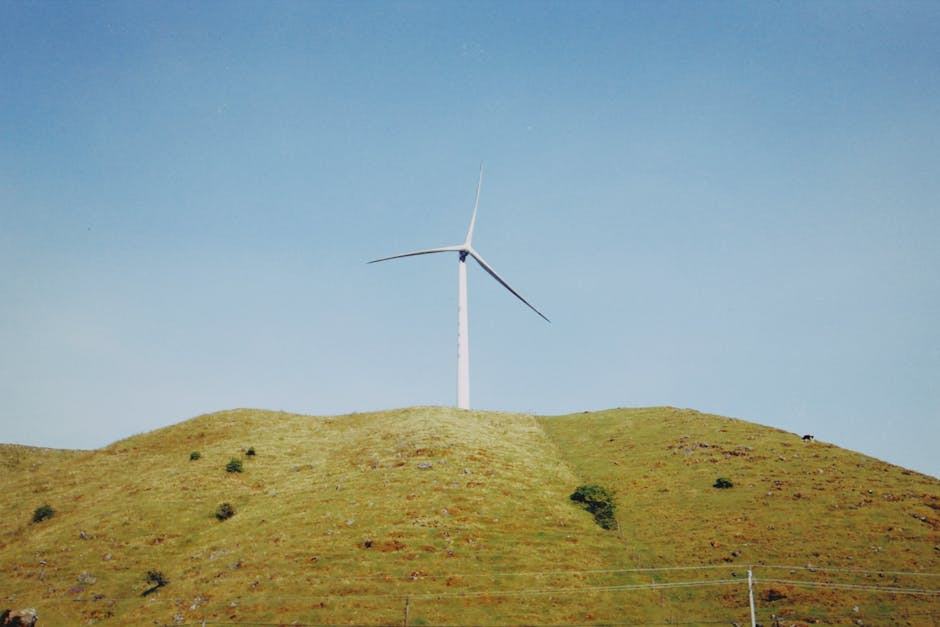 Guide ajaccio : comparatif offres énergie France