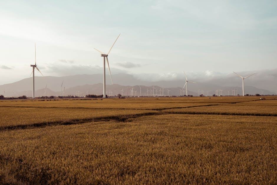 Changer titulaire contrat edf : comparatif et conseils pratiques