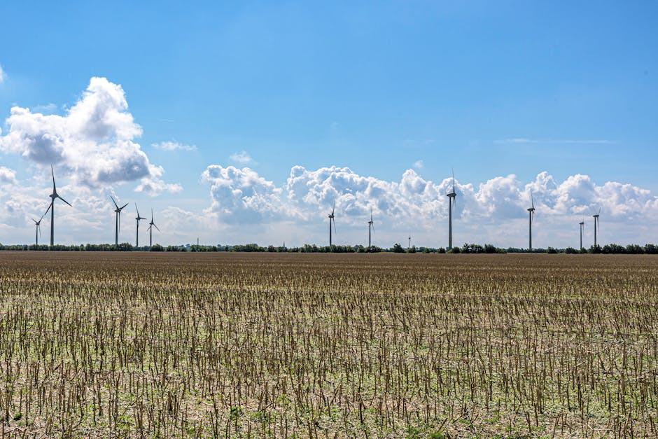 Guide la rochelle : comparatif offres énergie France