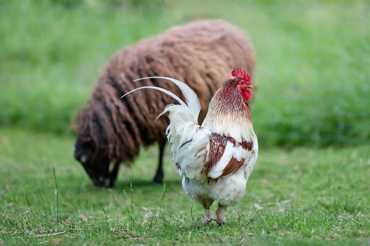 Enedis mon compte : comparatif fournisseur énergie