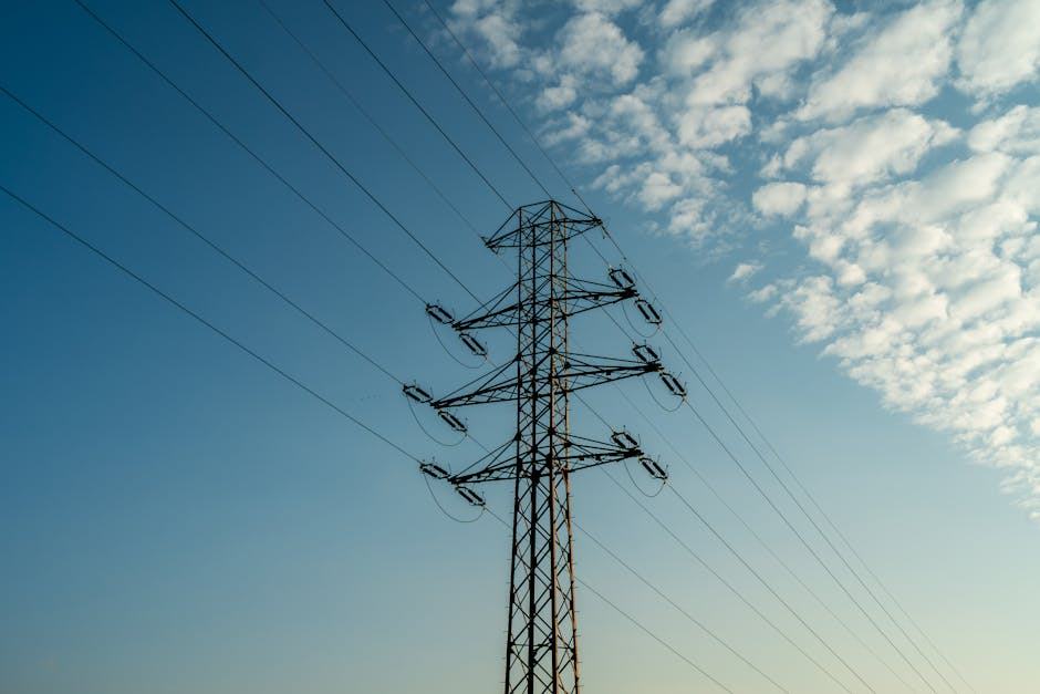 Ohm energie service client : guide complet fournisseurs énergie